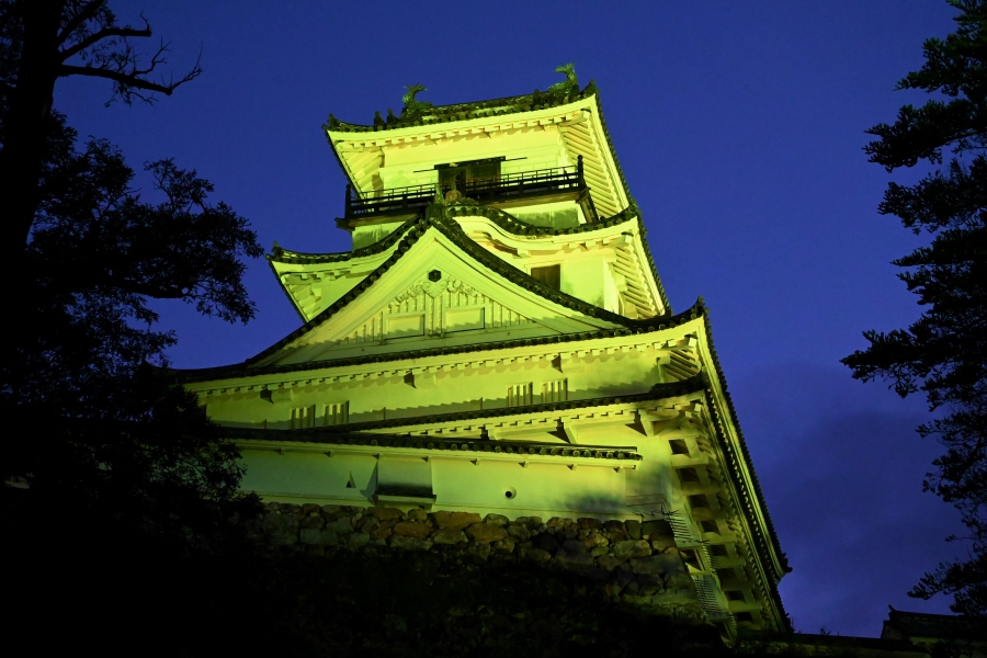高知城がイエローグリーンにライトアップされました（5月31日撮影）