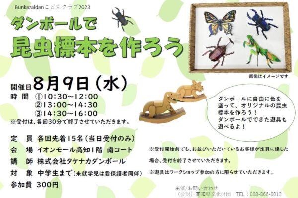 高知市のイオンモール高知で「ダンボールで昆虫標本を作ろう」｜カブトムシ、クワガタ、カマキリ…4種類作れます