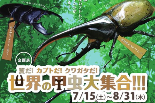 土佐清水市で「世界の甲虫大集合！！！」（足摺海洋館「SATOUMI」）｜さまざまなカブトムシやクワガタを展示。納涼祭りもあります