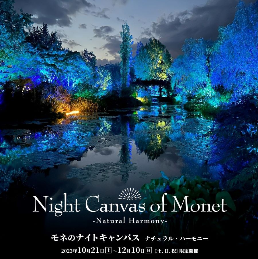 北川村で「モネのナイトキャンバス」（モネの庭）｜前期は「青の光景と灯火」、後期は「紅葉のライトアップ」が楽しめます