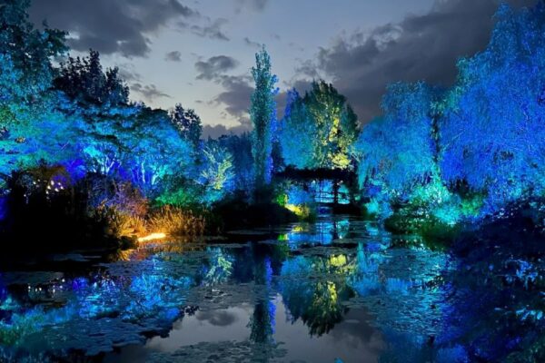 北川村で「モネのナイトキャンバス」（モネの庭）｜前期は「青の光景と灯火」、後期は「紅葉のライトアップ」が楽しめます