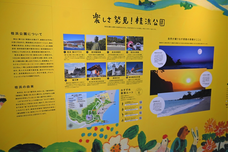 桂浜公園の魅力を紹介