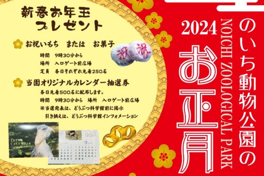 【2024年】香南市で「のいち動物公園のお正月」｜お祝い餅、お菓子のプレゼントがあります