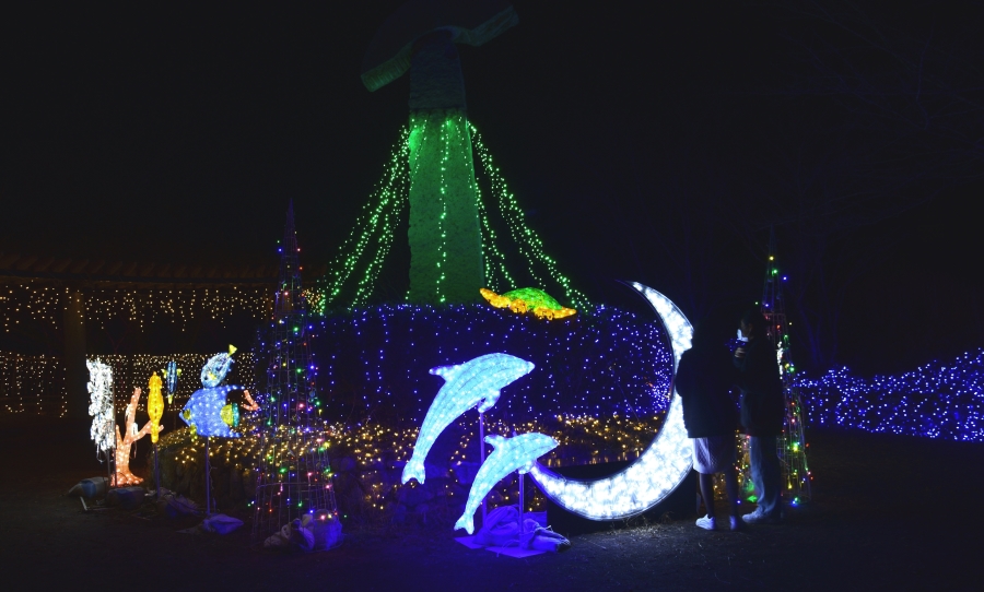 サンゴなど大月町らしい電飾が飾られたコーラルイルミネーション（高知新聞2022年12月10日掲載）
