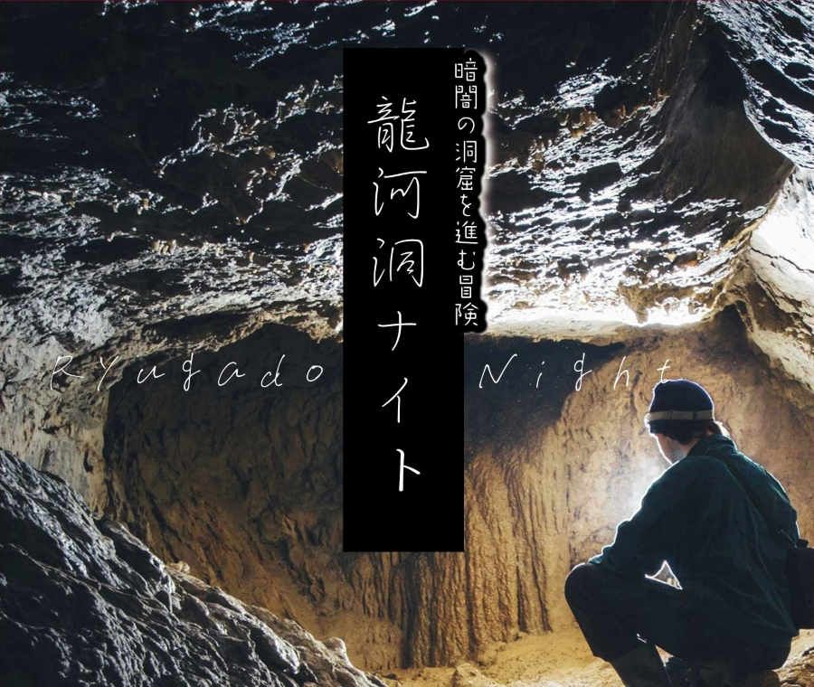 【2023年12月～2024年1月】香美市で「龍河洞ナイト」｜真っ暗な洞窟を探検しよう！