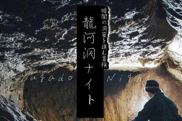 【2023年12月～2024年1月】香美市で「龍河洞ナイト」｜真っ暗な洞窟を探検しよう！