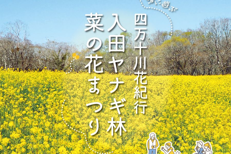 2024年】四万十市で「菜の花まつり」（入田ヤナギ林）｜土日祝日に