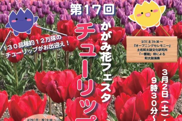 【2024年】香南市で「第17回かがみ花フェスタ チューリップまつり」（香我美駅北側）｜130品種の色鮮やかなチューリップが楽しめます