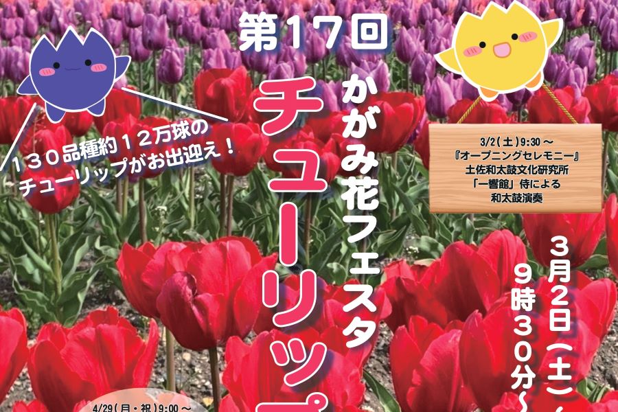2024年】香南市で「第17回かがみ花フェスタ チューリップまつり