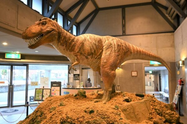 佐川町立佐川地質館｜動くティラノサウルスがお出迎え！化石、鉱石、地形や地質、地球と生命の歴史が学べます