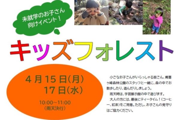 【2024年4月】香美市で「キッズフォレスト」（高知県立甫喜ケ峰森林公園）｜森の中の遊びを楽しもう！未就学児向けのイベントです