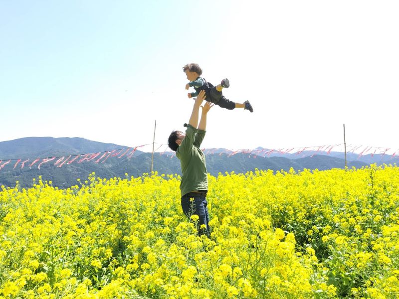 【ココハレ読者賞】天空の菜の花畑でパパの高い高〜い！これからもいっぱいお出かけしようね！