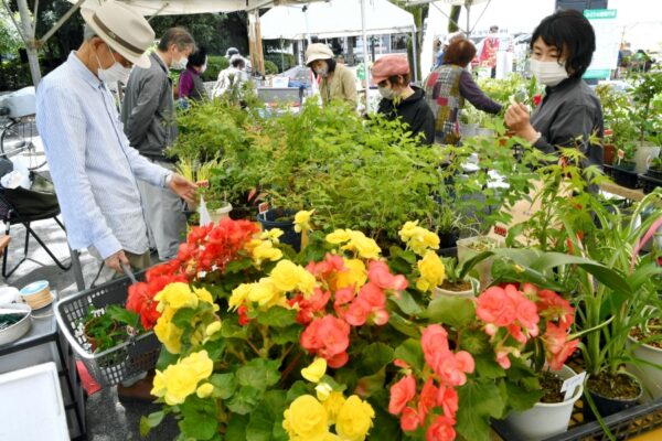 【2024年】高知市の中央公園で「第52回みどりの週間～春のガーデニングマーケット～」｜木工体験、花苗や花の種の無料配布などがあります
