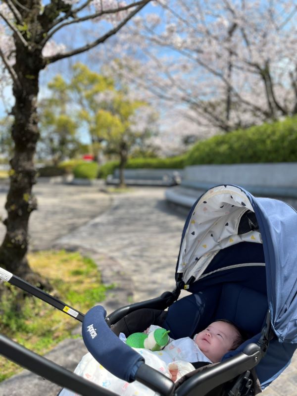 生まれて2カ月、桜を見に公園にきたよ