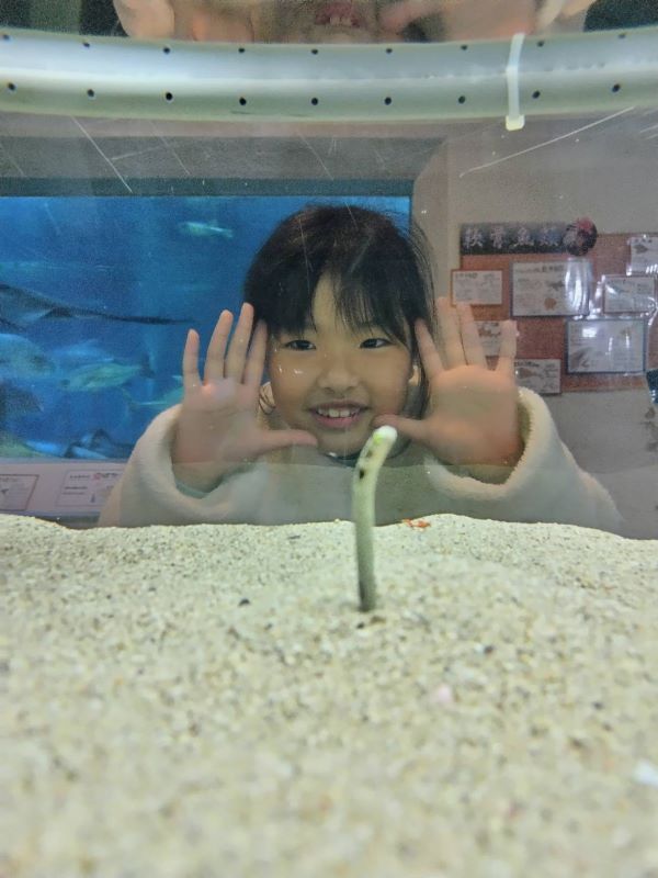 【はじめてのチンアナゴ】桂浜水族館にて。初めてのチンアナゴに夢中の１枚です