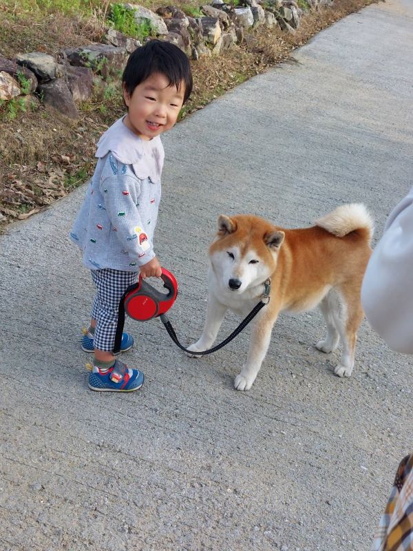 【はじめての犬の散歩】時々、実家犬のお散歩に同行していて、この日初めて自分でリードを持ちたい！と主張。実家犬の(どうしたらいいの…)の表情と我が子の嬉しそうな顔に笑った1枚です
