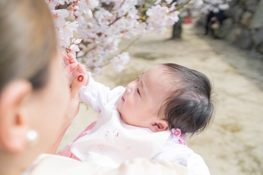 【はじめての桜】生まれて初めて桜の季節を迎え、目で見て、触れた瞬間