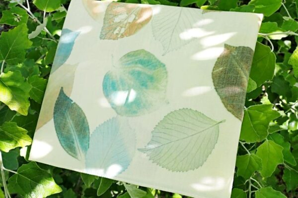 【受け付けを終了しました】高知県立牧野植物園で夏休み子ども教室「葉っぱの形を染めて楽しもう！」｜植物を観察、採集し、葉っぱを使ってハンカチを染めます