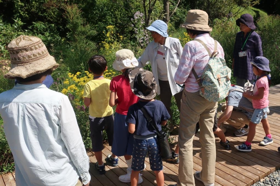 園内を回り、植物を観察しながら詳しく学びます（高知県立牧野植物園提供）