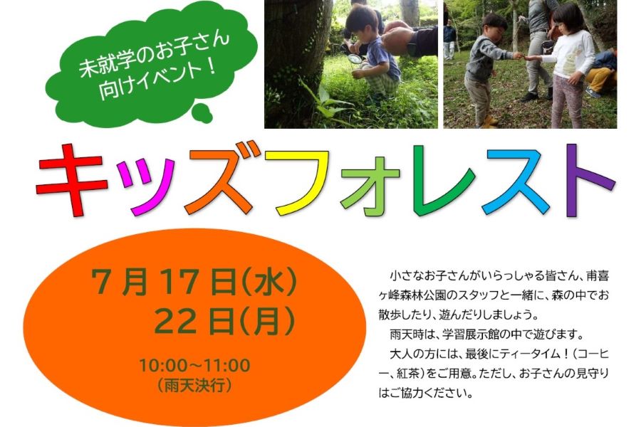 【2024年7月】香美市で「キッズフォレスト」（高知県立甫喜ケ峰森林公園）｜森の中を探索しよう！未就学児とその家族が対象です