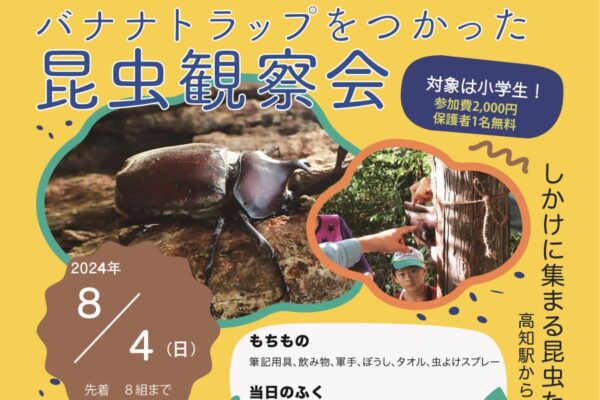 【受け付けを終了しました】高知市で「バナナトラップを使った昆虫観察会」（相愛の森）｜仕掛けに集まった昆虫を観察！クイズやゲームも楽しめます