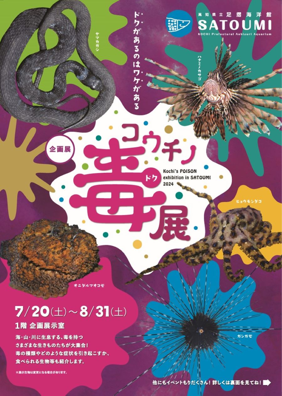 土佐清水市で「コウチノ毒展」（足摺海洋館「SATOUMI」）｜サメの歯アクセサリー作り、自由研究のサポートイベント、「夜のすいぞくかん」…8/11には花火が上がります