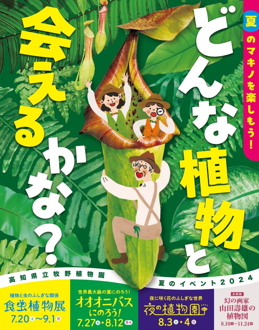高知市の高知県立牧野植物園で「夏のイベント2024」｜「食虫植物展」「夜の植物園」などが楽しめます