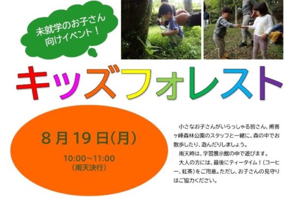 【2024年8月】香美市で「キッズフォレスト」（高知県立甫喜ケ峰森林公園）｜森の中で遊ぼう！未就学児とその家族が対象です