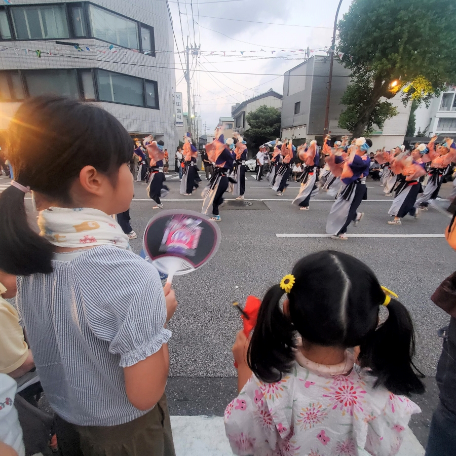 よさこいは「踊るものじゃなく、見に行くもの」だそうです