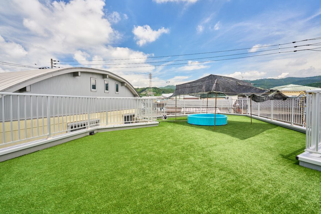 屋上でも元気いっぱい