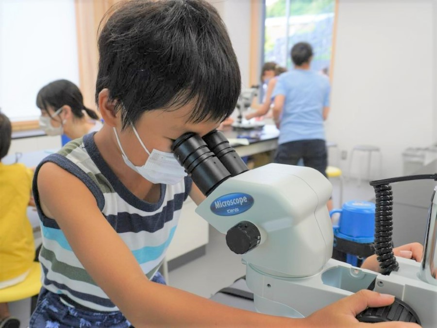 虫を捕まえる工夫を顕微鏡で観察します（高知県立牧野植物園提供）