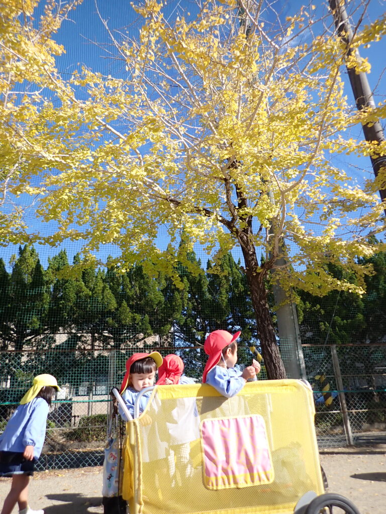 近隣の公園に出かけ、園外保育を楽しんでいます