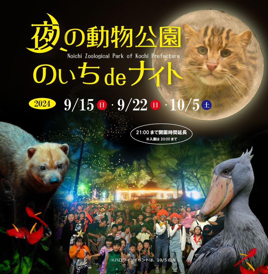 【2024年】高知県立のいち動物公園で「夜の動物公園　のいち de ナイト」｜全3回開催！プロジェクションマッピングやハロウィンイベントもあります