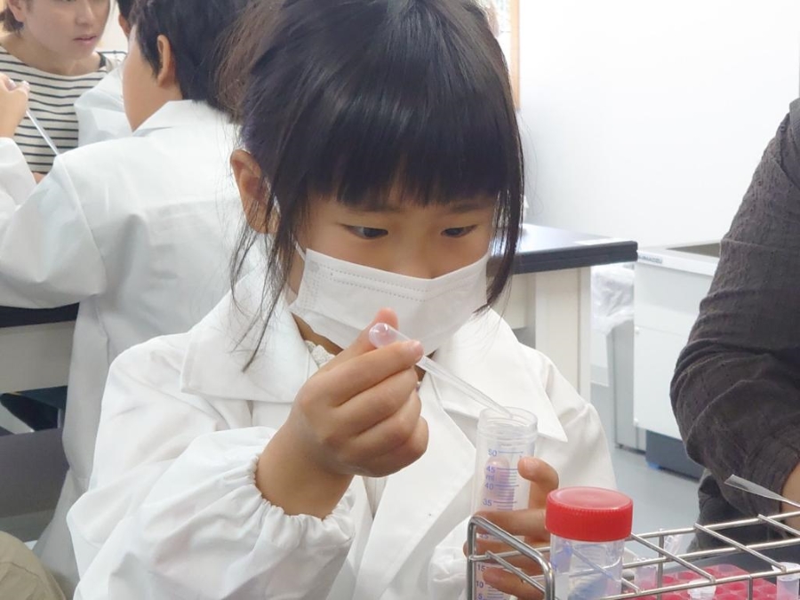 植物からDNAを取り出します（高知県立牧野植物園提供）