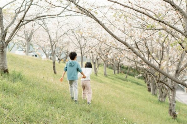 【2024年】高知大丸で「第2弾　秋の北海道と函館まつり」｜北海道産のかぼちゃやさつまいもを使用したモンブラン、海鮮弁当など、函館エリアからの出店があります