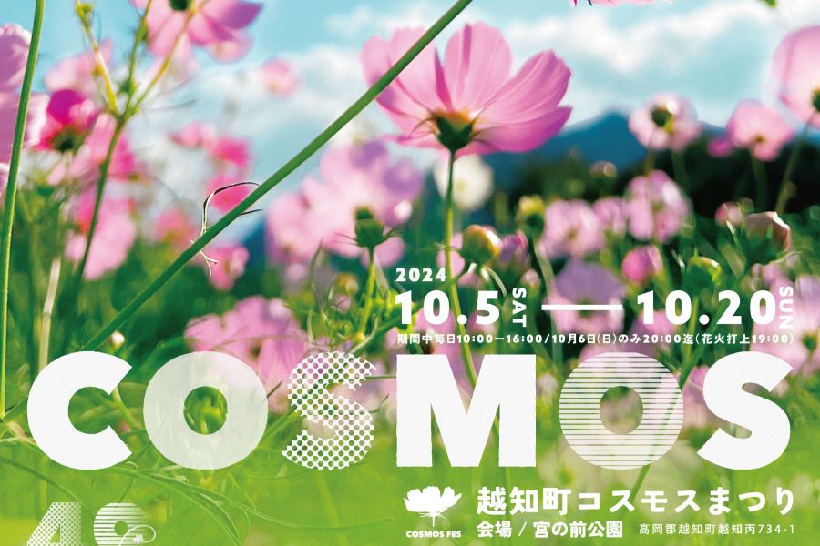 2024年】越知町で「第40回越知町コスモスまつり」（宮の前公園）｜ご