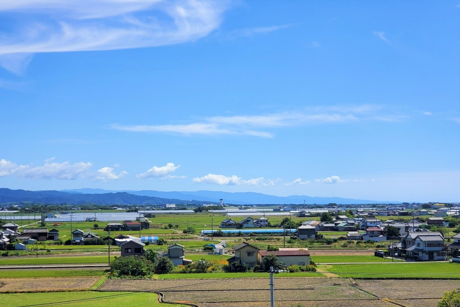 きょうだいとの関わり方はそれぞれだと思います