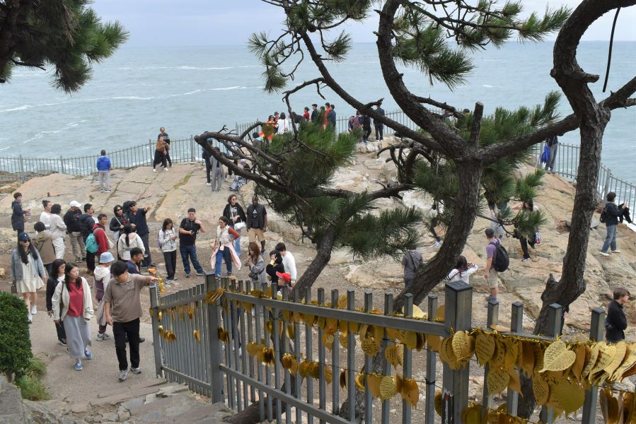 釜山は今、人気の海外旅行先！平日でも外国人旅行者でいっぱいでした