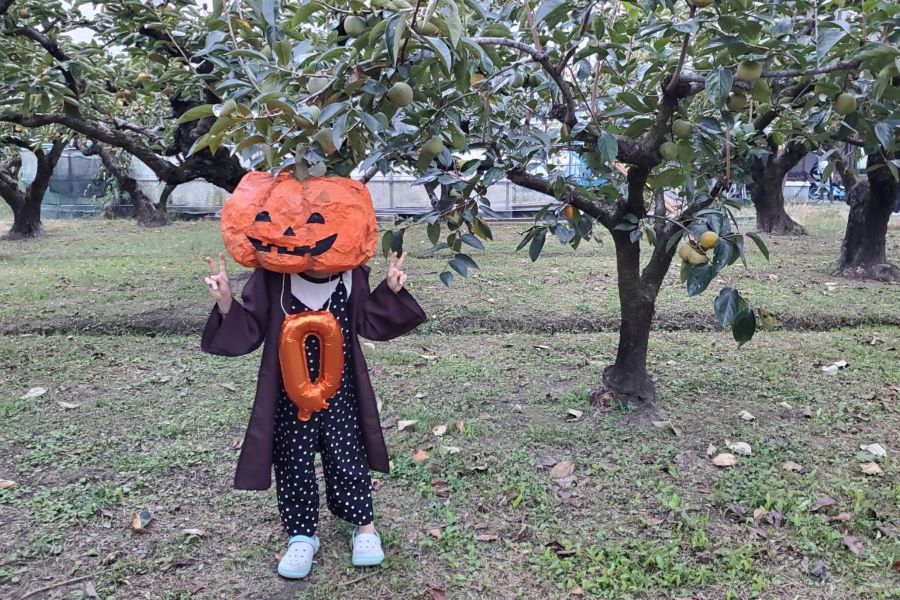 かぼちゃオバケ！ご近所ハロウィンの為に母子で大きなかぼちゃ頭を新聞紙等で作りました！練り歩いていた柿畑での撮影。どこに居ても映えるハロウィンならではの姿に娘もなりきってました