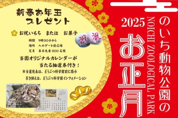 【2025年】香南市で「のいち動物公園のお正月」｜お祝い餅またはお菓子をプレゼント！12/14（土）から「ヘビ展」が始まります