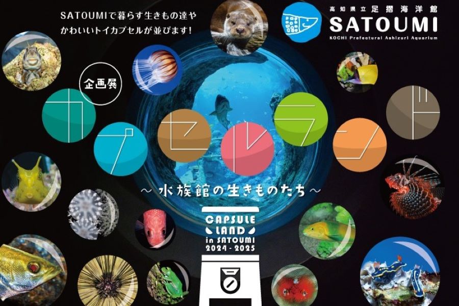 高知県立足摺海洋館 SATOUMI | ⭐️新商品情報(限定品)⭐️ すみ