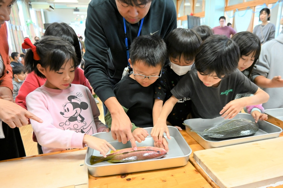 子どもが興味を持った時がチャンス！