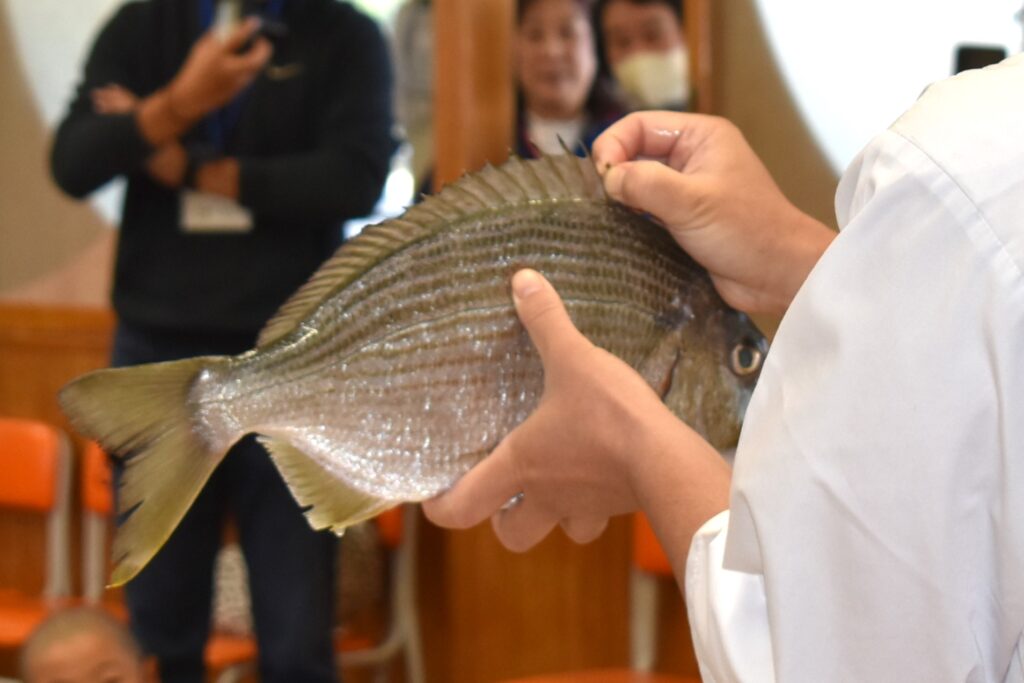 背びれ、尾びれ、尻びれにはとげがあるそうで、要注意