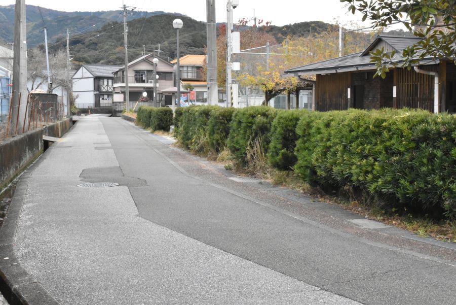 道なりに進むと、右手に初月公園の生垣が見えます