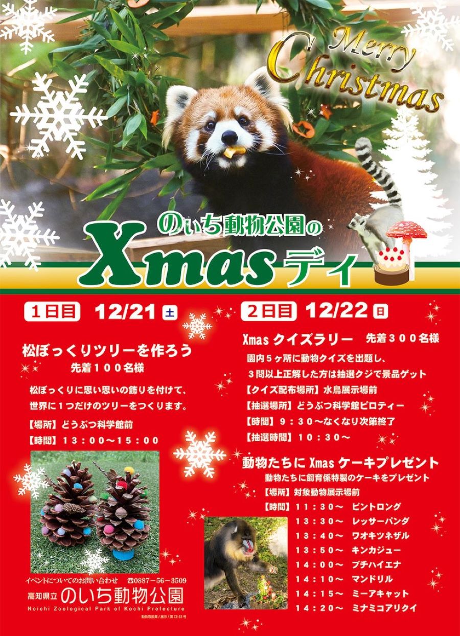 【2024年】香南市で「のいち動物公園のXmasデイ」｜「松ぼっくりツリーを作ろう」「Xmasクイズラリー」などが楽しめます