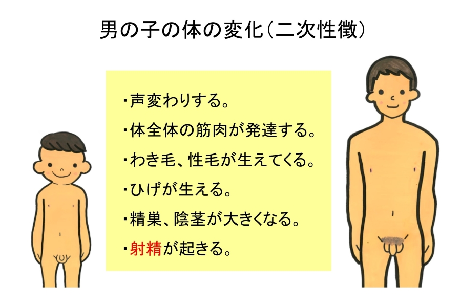 「声変わり」「体のにおい」「毛深い」なども子どもたちは気にしています