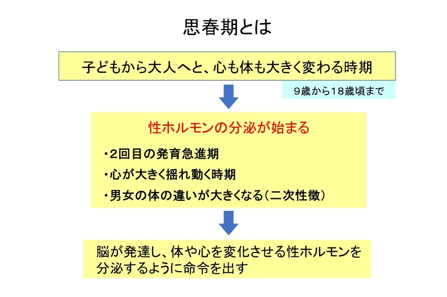 体の変化も心の変化も「性ホルモン」が分泌されるので起こります