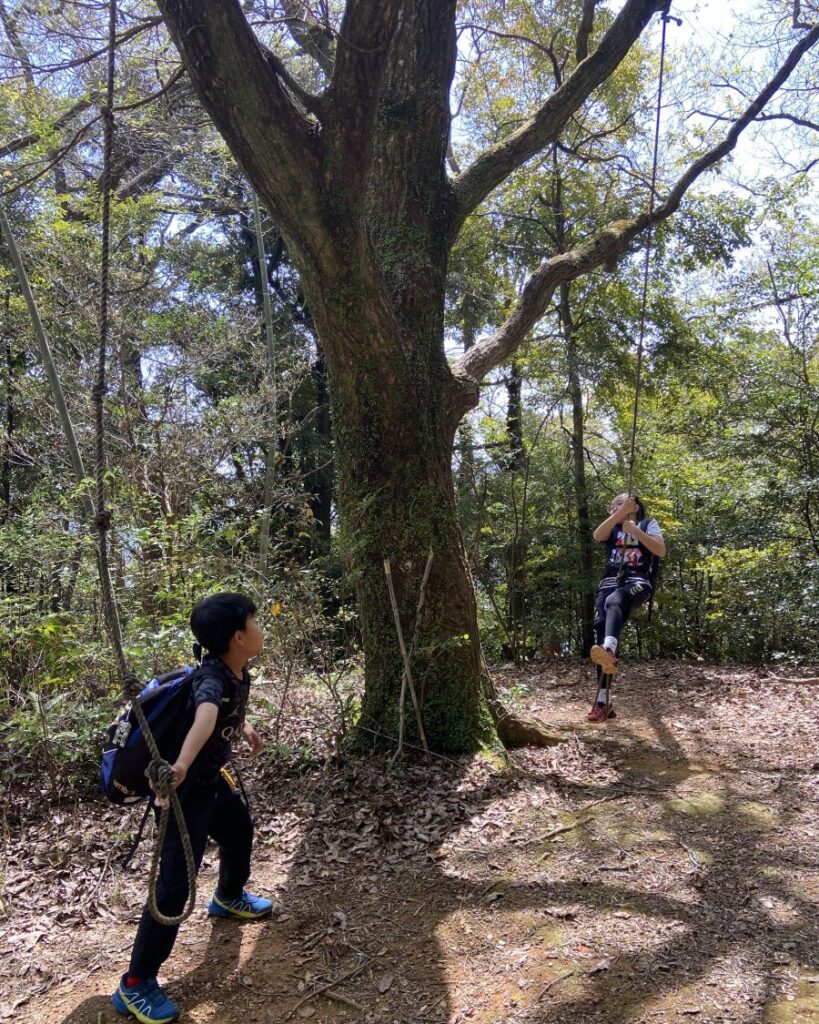 長いロープ！高い枝からつり下げられています