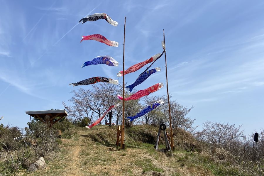 地域住民が大切に管理している山です