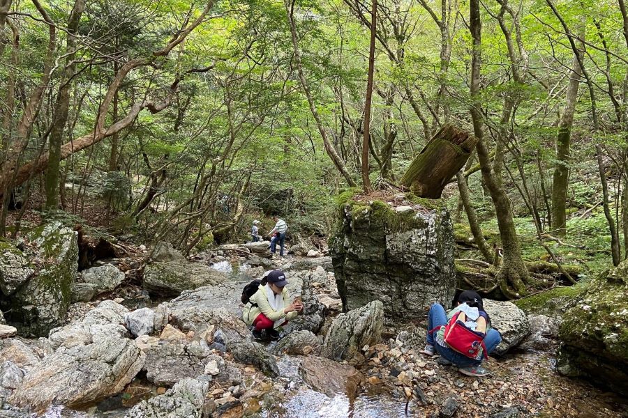 高知市民におなじみの工石山